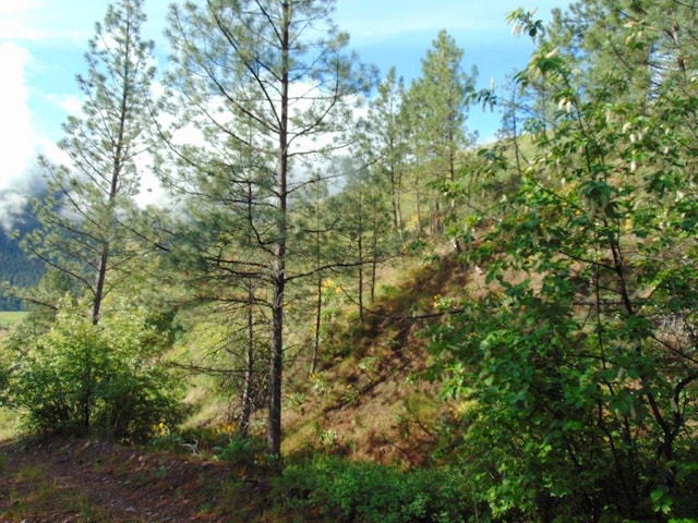 27235 Lazy Springs Rd, Clinton, MT 59825
