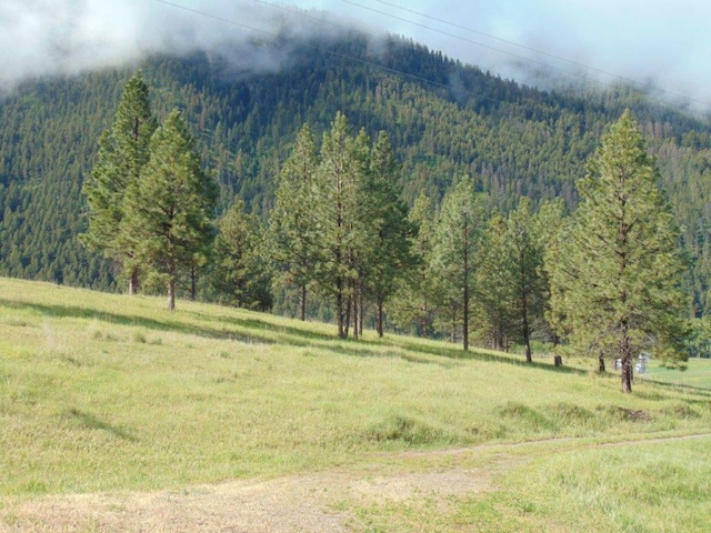 27235 Lazy Springs Rd, Clinton, MT 59825