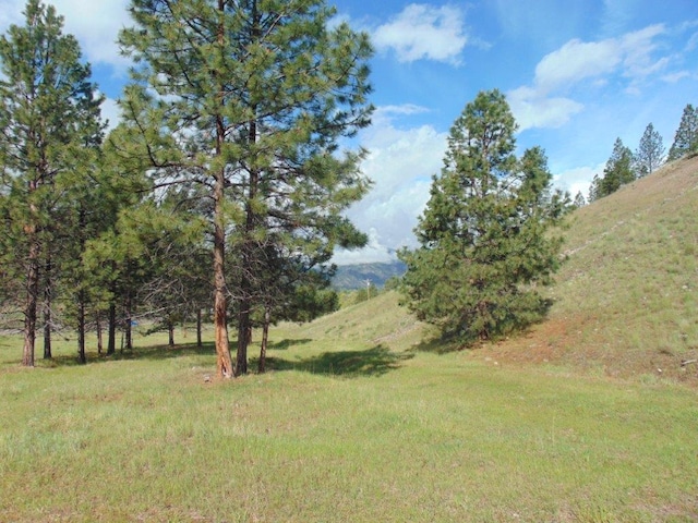 27235 Lazy Springs Rd, Clinton, MT 59825