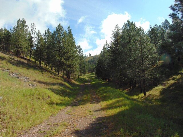 27235 Lazy Springs Rd, Clinton, MT 59825