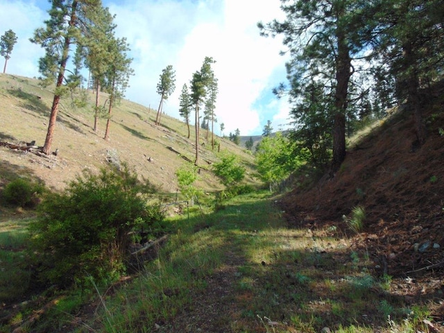 27235 Lazy Springs Rd, Clinton, MT 59825