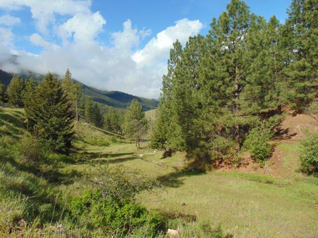 27235 Lazy Springs Rd, Clinton, MT 59825