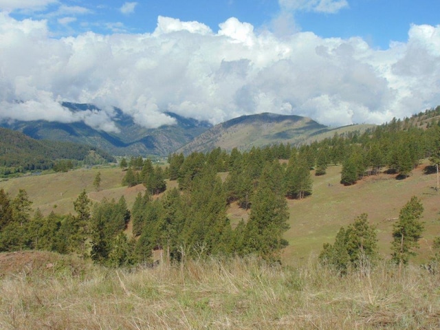 27235 Lazy Springs Rd, Clinton, MT 59825