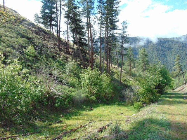 27235 Lazy Springs Rd, Clinton, MT 59825