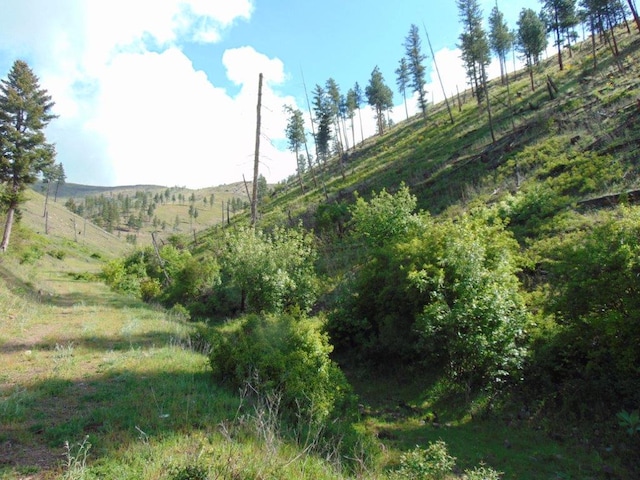 27235 Lazy Springs Rd, Clinton, MT 59825