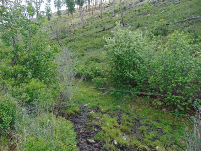 27235 Lazy Springs Rd, Clinton, MT 59825