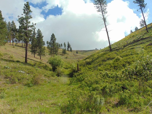 27235 Lazy Springs Rd, Clinton, MT 59825