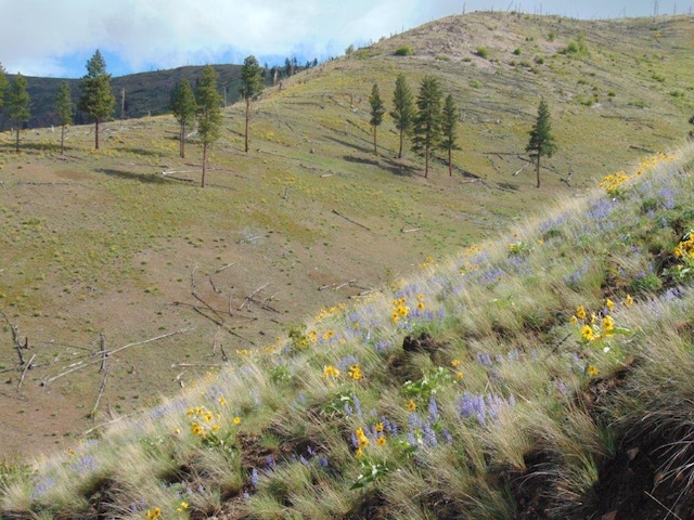 27235 Lazy Springs Rd, Clinton, MT 59825