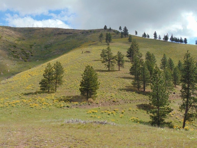 27235 Lazy Springs Rd, Clinton, MT 59825