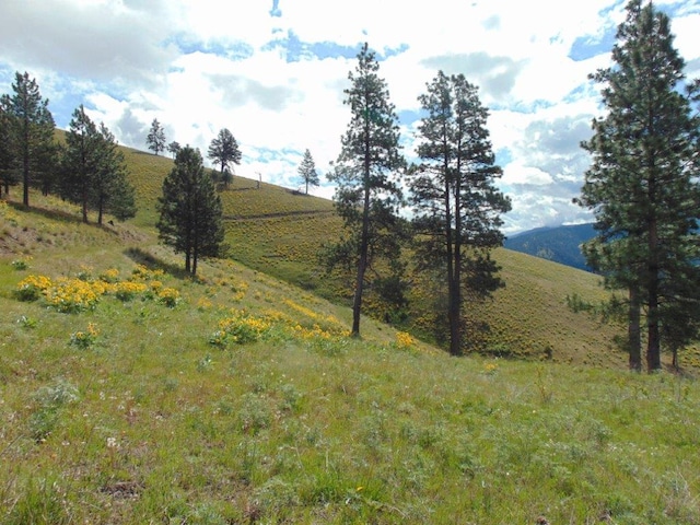 27235 Lazy Springs Rd, Clinton, MT 59825
