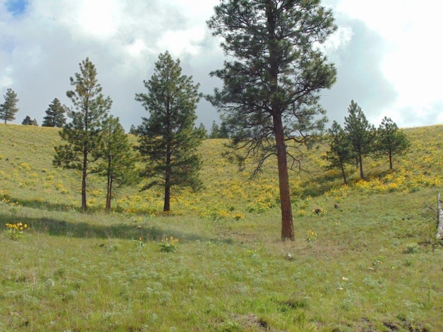 27235 Lazy Springs Rd, Clinton, MT 59825