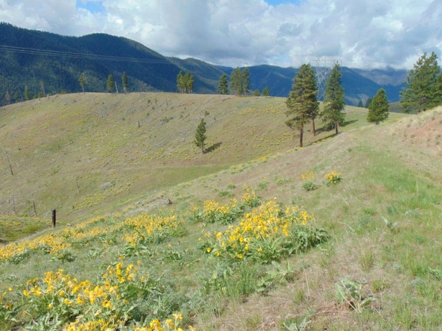 27235 Lazy Springs Rd, Clinton, MT 59825