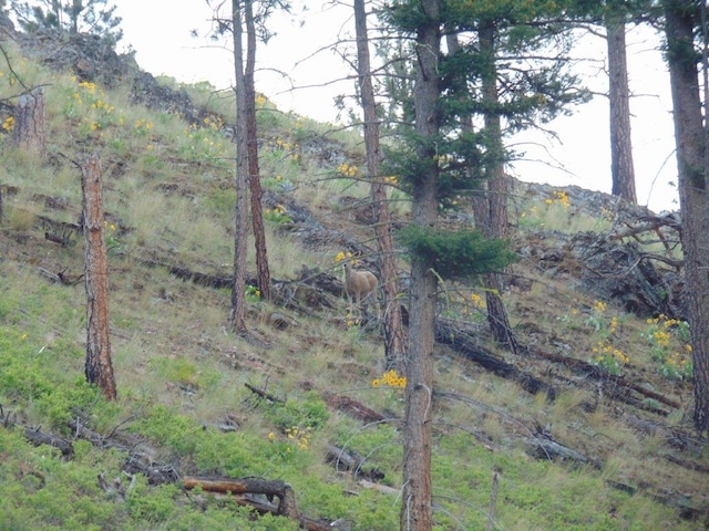27235 Lazy Springs Rd, Clinton, MT 59825