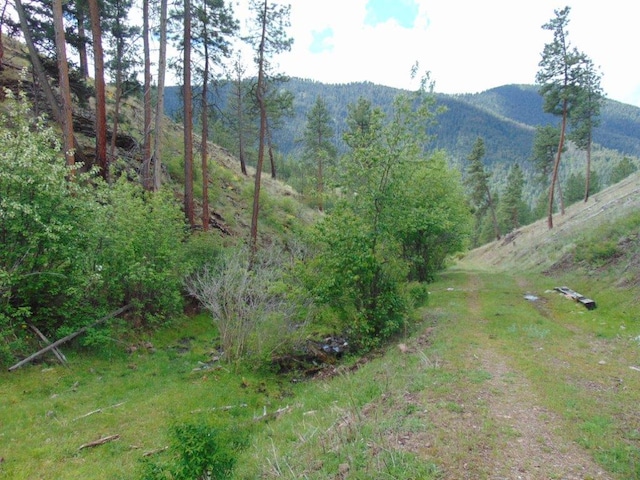 27235 Lazy Springs Rd, Clinton, MT 59825