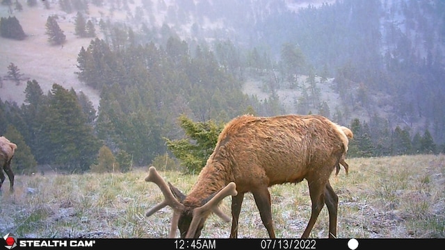 NHN Outer Loop Rd, Cascade, MT 59421