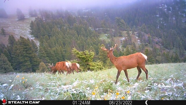 NHN Outer Loop Rd, Cascade, MT 59421