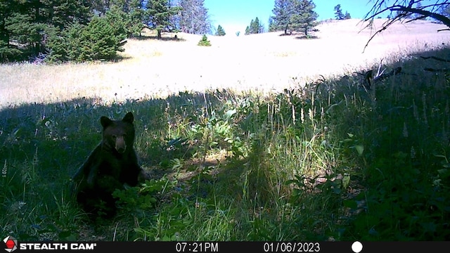 NHN Outer Loop Rd, Cascade, MT 59421