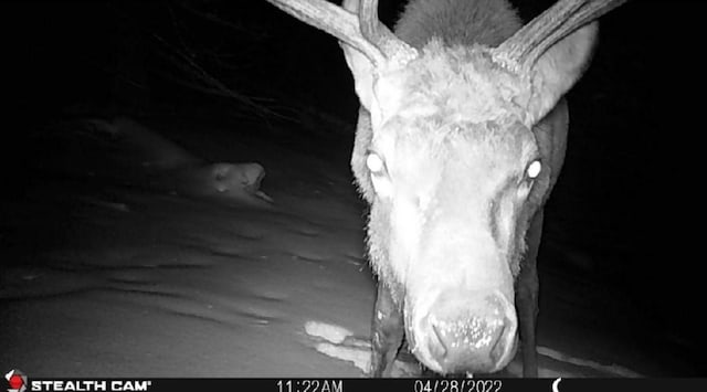 NHN Outer Loop Rd, Cascade, MT 59421
