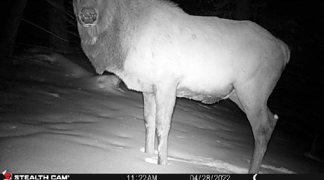 NHN Outer Loop Rd, Cascade, MT 59421