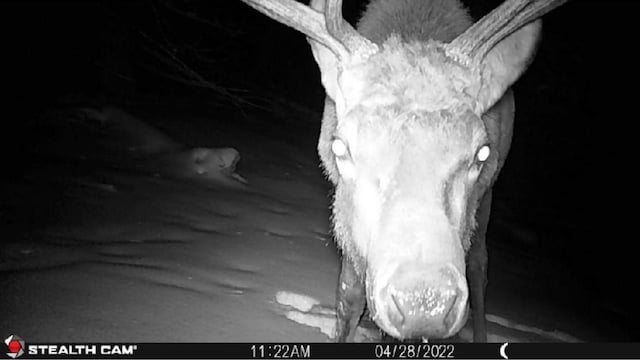 NHN Outer Loop Rd, Cascade, MT 59421