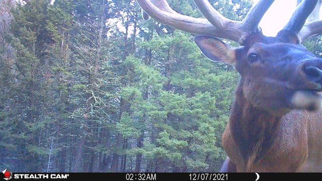 NHN Outer Loop Rd, Cascade, MT 59421