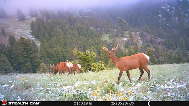 NHN Outer Loop Rd, Cascade, MT 59421