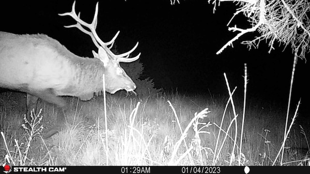 NHN Outer Loop Rd, Cascade, MT 59421
