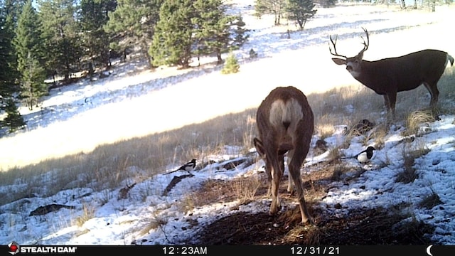 NHN Outer Loop Rd, Cascade, MT 59421