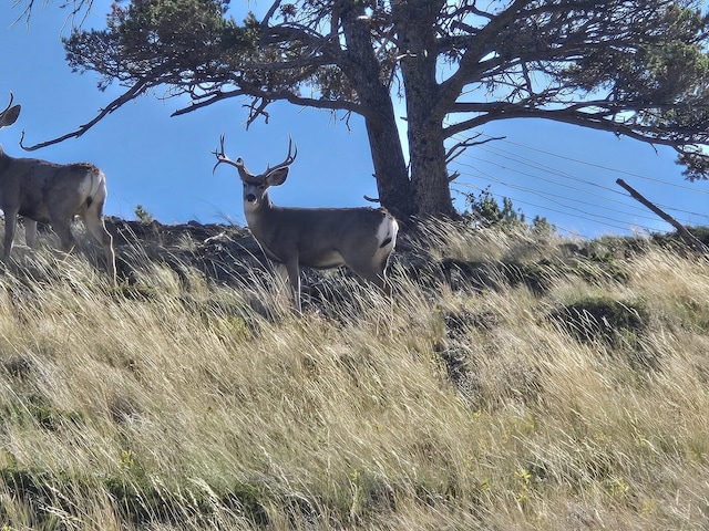 NHN Outer Loop Rd, Cascade, MT 59421