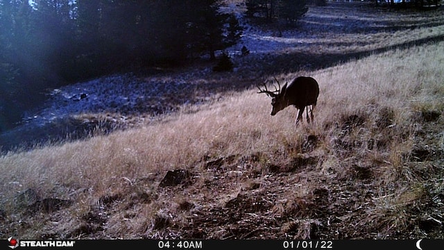 NHN Outer Loop Rd, Cascade, MT 59421
