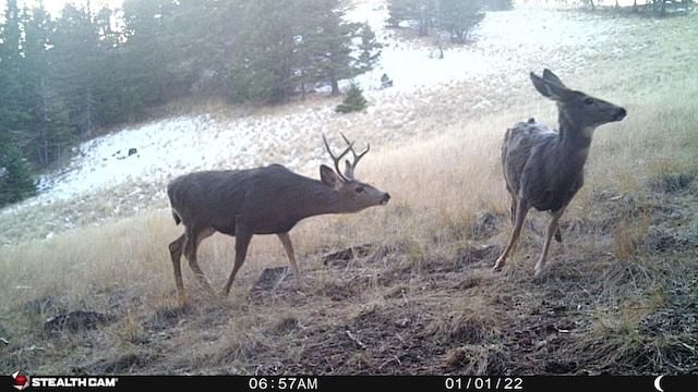 NHN Outer Loop Rd, Cascade, MT 59421