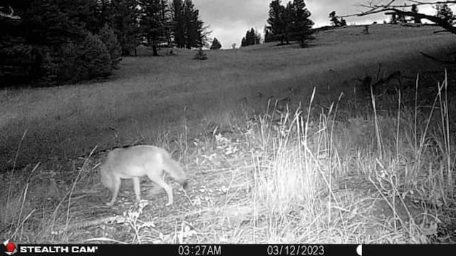 NHN Outer Loop Rd, Cascade, MT 59421