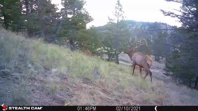 NHN Outer Loop Rd, Cascade, MT 59421