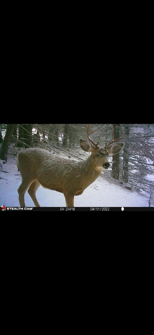 NHN Outer Loop Rd, Cascade, MT 59421