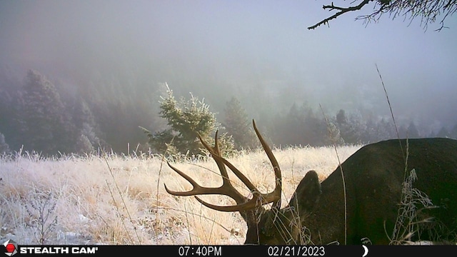 NHN Outer Loop Rd, Cascade, MT 59421