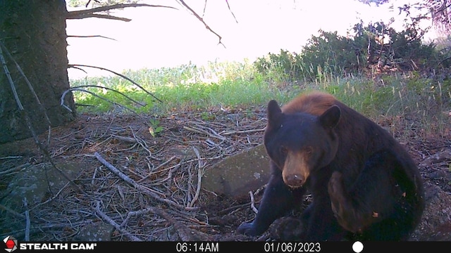 NHN Outer Loop Rd, Cascade, MT 59421