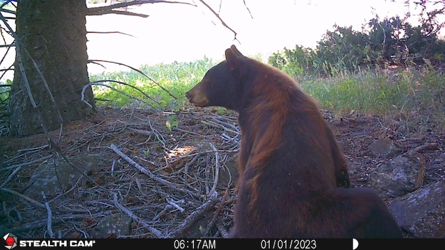 NHN Outer Loop Rd, Cascade, MT 59421