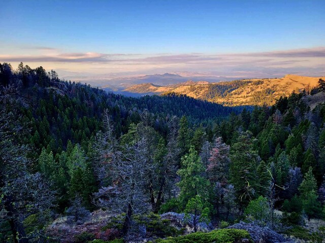 NHN Outer Loop Rd, Cascade, MT 59421