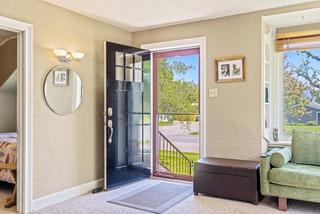 215 N Oak St, Townsend, MT 59644 - carpeted entrance foyer with a textured wall