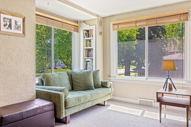 215 N Oak St, Townsend, MT 59644 - living area featuring healthy amount of natural light, a textured wall, and carpet flooring
