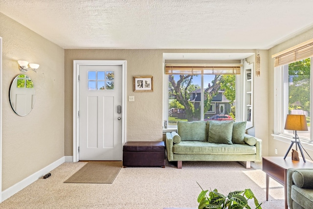 215 N Oak St, Townsend, MT 59644 - carpeted foyer with a textured wall and a textured ceiling