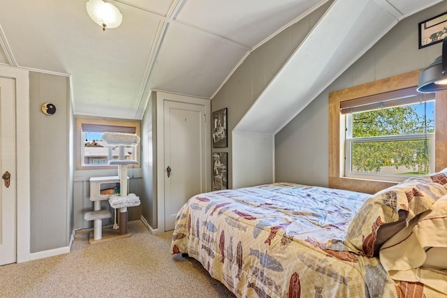 215 N Oak St, Townsend, MT 59644 - bedroom with multiple windows, carpet, and vaulted ceiling