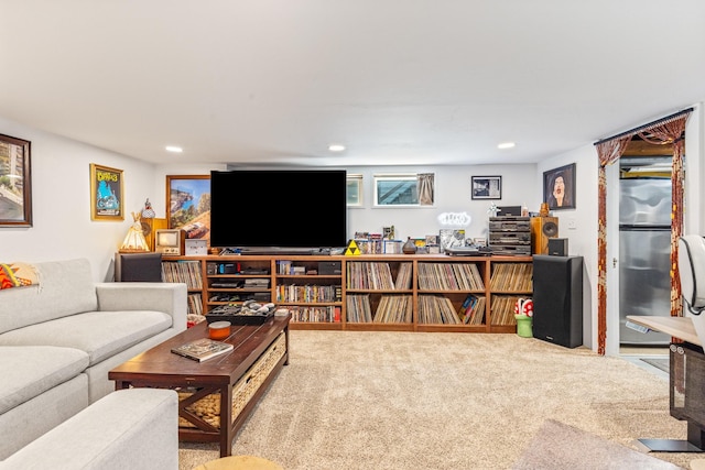 215 N Oak St, Townsend, MT 59644 - living area with carpet flooring and recessed lighting