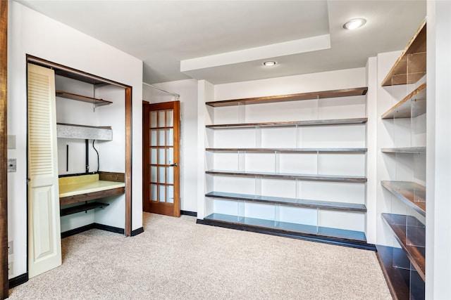 1165 Rock Creek Rd, Clinton, MT 59825 - walk in closet with carpet floors