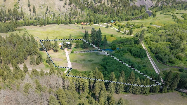 1165 Rock Creek Rd, Clinton, MT 59825 - drone / aerial view of a forest