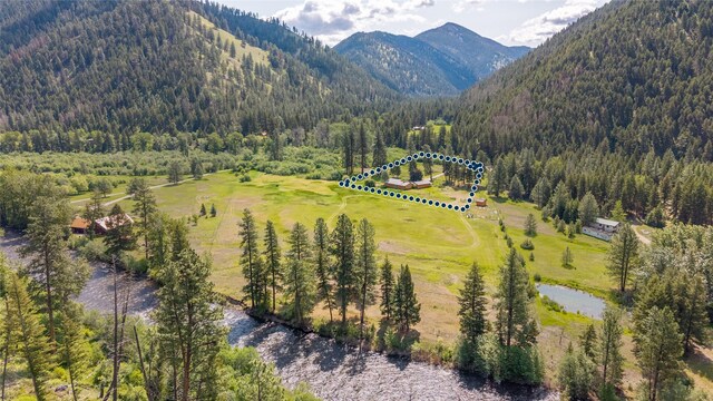 1165 Rock Creek Rd, Clinton, MT 59825 - aerial view of a forest and a water and mountain view