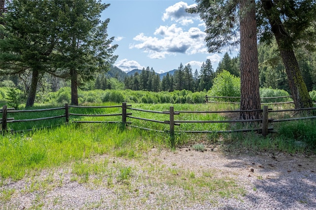 1165 Rock Creek Rd, Clinton, MT 59825 - view of yard featuring a forest view, a mountain view, and a view of rural / pastoral area