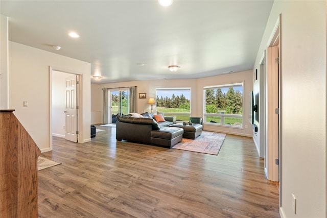 36 Lost Trl, Clancy, MT 59634 - living room featuring wood finished floors, baseboards, and recessed lighting