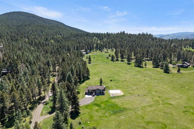 36 Lost Trl, Clancy, MT 59634 - overview of rural landscape featuring a forest and a mountain backdrop