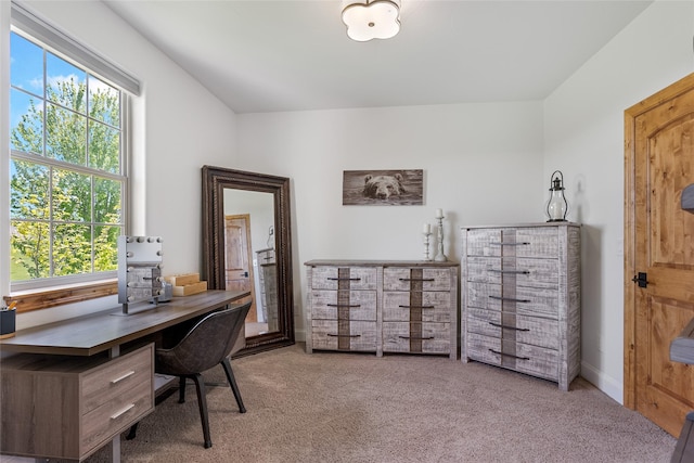 310 Jossie Ln, Kalispell, MT 59901 - view of carpeted office